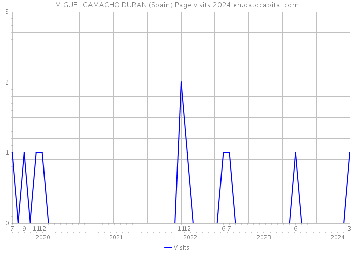 MIGUEL CAMACHO DURAN (Spain) Page visits 2024 