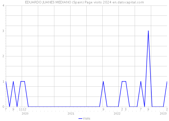 EDUARDO JUANES MEDIANO (Spain) Page visits 2024 