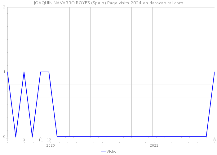 JOAQUIN NAVARRO ROYES (Spain) Page visits 2024 