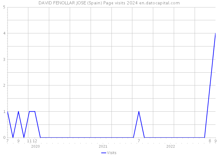 DAVID FENOLLAR JOSE (Spain) Page visits 2024 