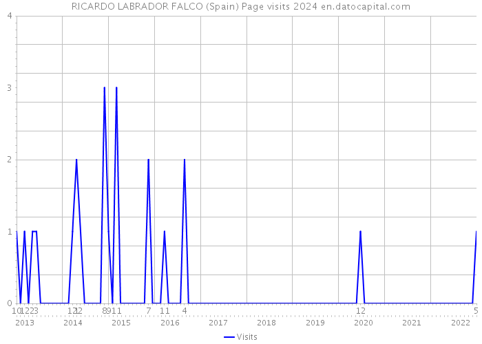 RICARDO LABRADOR FALCO (Spain) Page visits 2024 