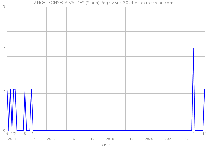 ANGEL FONSECA VALDES (Spain) Page visits 2024 
