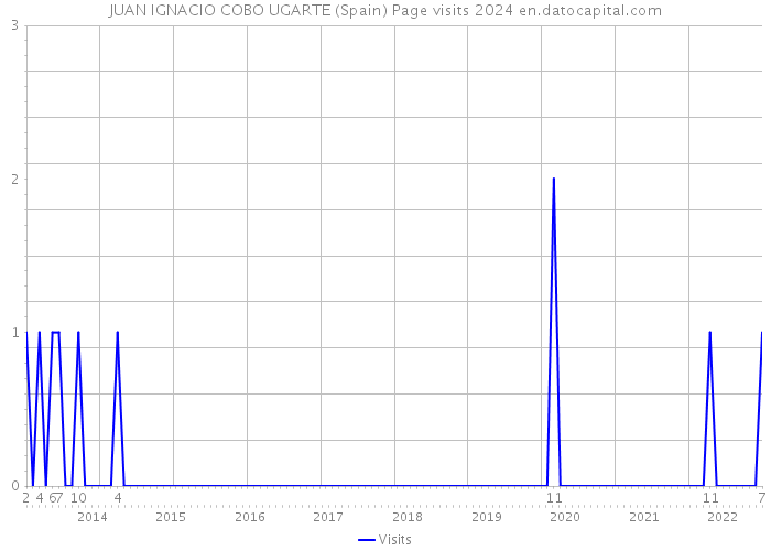 JUAN IGNACIO COBO UGARTE (Spain) Page visits 2024 