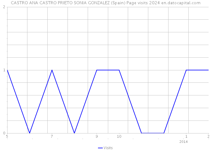 CASTRO ANA CASTRO PRIETO SONIA GONZALEZ (Spain) Page visits 2024 