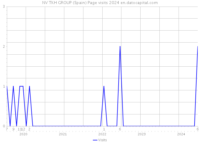 NV TKH GROUP (Spain) Page visits 2024 