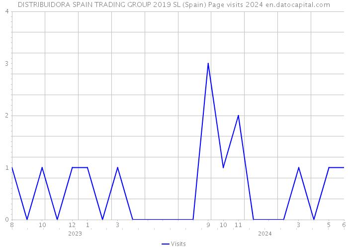 DISTRIBUIDORA SPAIN TRADING GROUP 2019 SL (Spain) Page visits 2024 