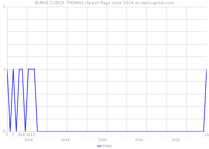 BURKE CUSICK THOMAS (Spain) Page visits 2024 
