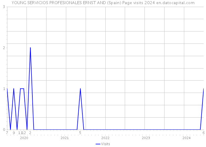 YOUNG SERVICIOS PROFESIONALES ERNST AND (Spain) Page visits 2024 