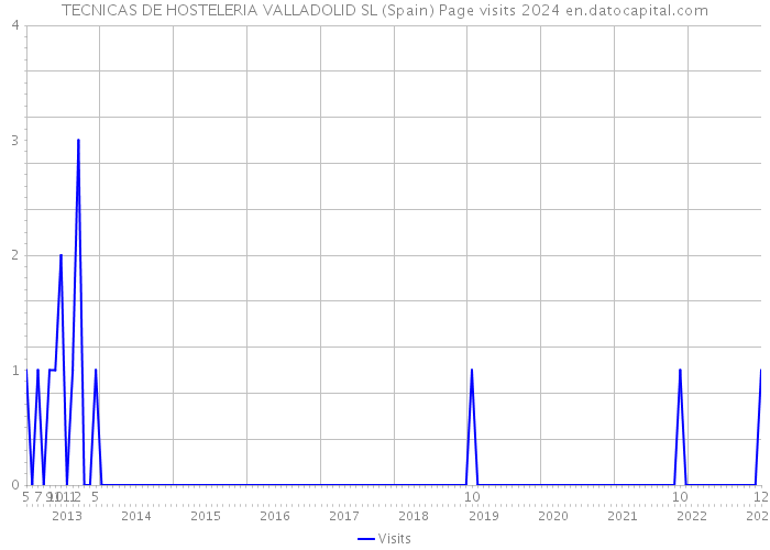 TECNICAS DE HOSTELERIA VALLADOLID SL (Spain) Page visits 2024 