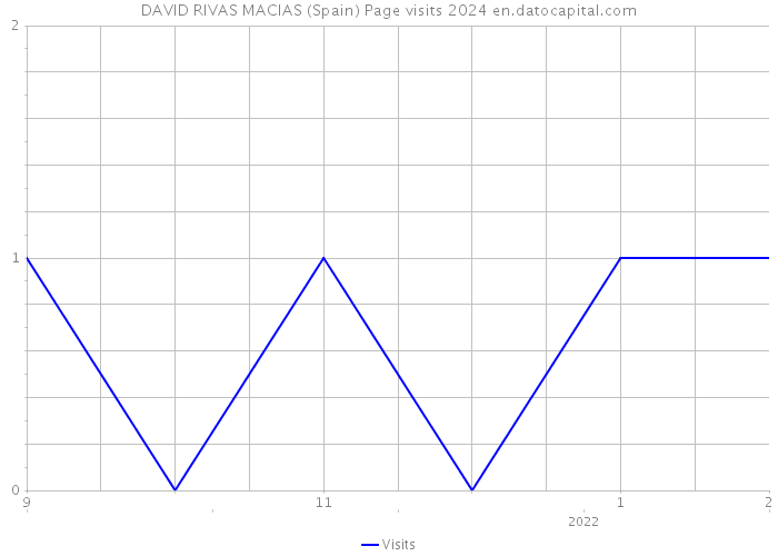 DAVID RIVAS MACIAS (Spain) Page visits 2024 