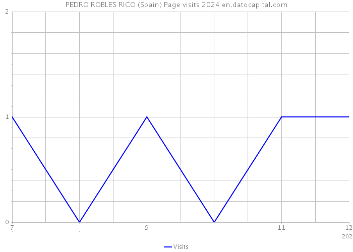 PEDRO ROBLES RICO (Spain) Page visits 2024 