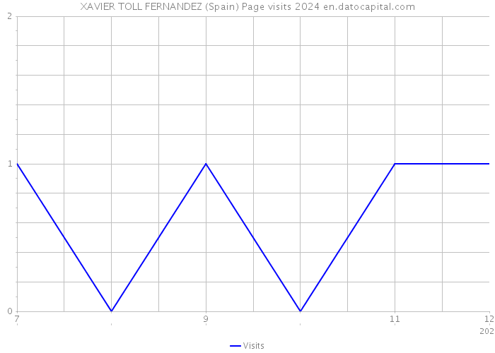XAVIER TOLL FERNANDEZ (Spain) Page visits 2024 