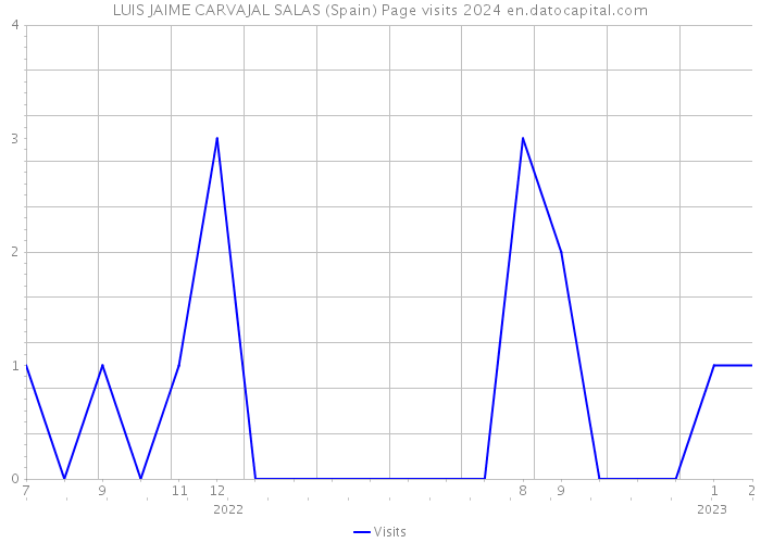 LUIS JAIME CARVAJAL SALAS (Spain) Page visits 2024 
