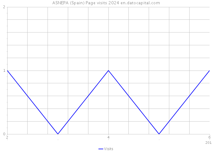ASNEPA (Spain) Page visits 2024 