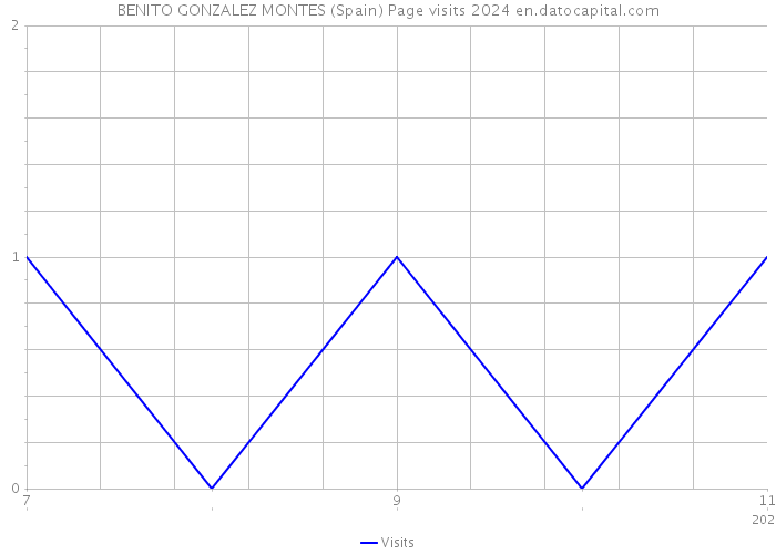 BENITO GONZALEZ MONTES (Spain) Page visits 2024 