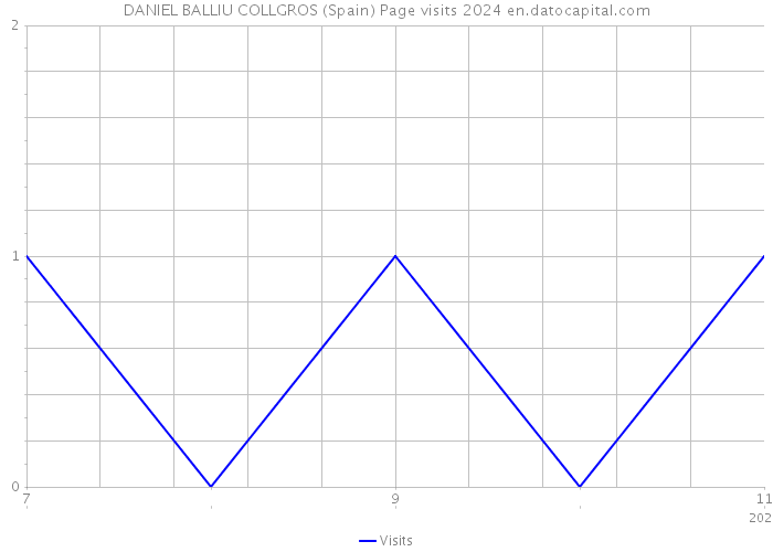 DANIEL BALLIU COLLGROS (Spain) Page visits 2024 