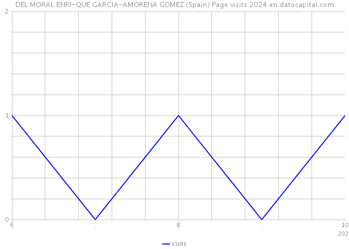 DEL MORAL ENRI-QUE GARCIA-AMORENA GOMEZ (Spain) Page visits 2024 