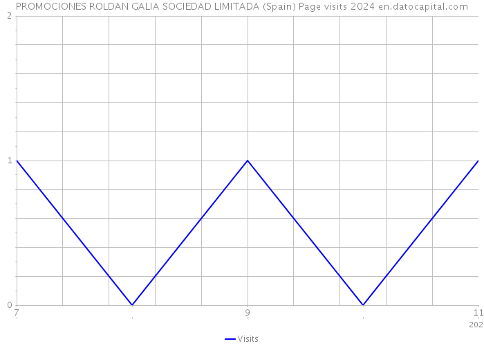 PROMOCIONES ROLDAN GALIA SOCIEDAD LIMITADA (Spain) Page visits 2024 