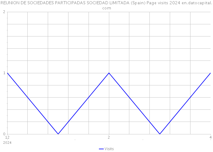 REUNION DE SOCIEDADES PARTICIPADAS SOCIEDAD LIMITADA (Spain) Page visits 2024 
