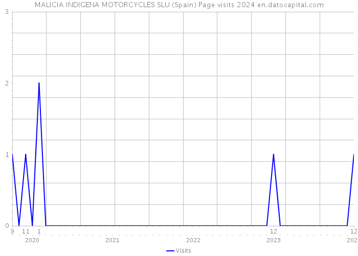 MALICIA INDIGENA MOTORCYCLES SLU (Spain) Page visits 2024 