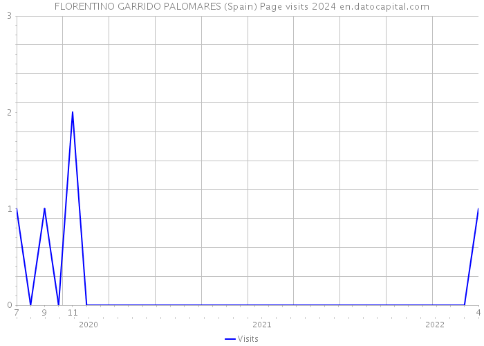 FLORENTINO GARRIDO PALOMARES (Spain) Page visits 2024 