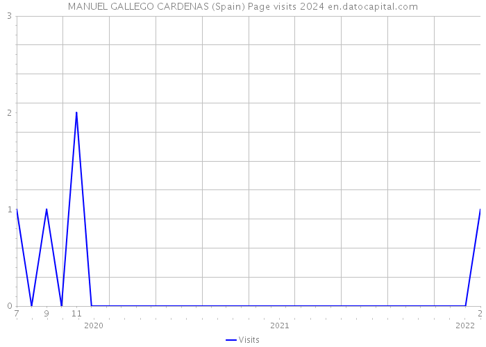 MANUEL GALLEGO CARDENAS (Spain) Page visits 2024 