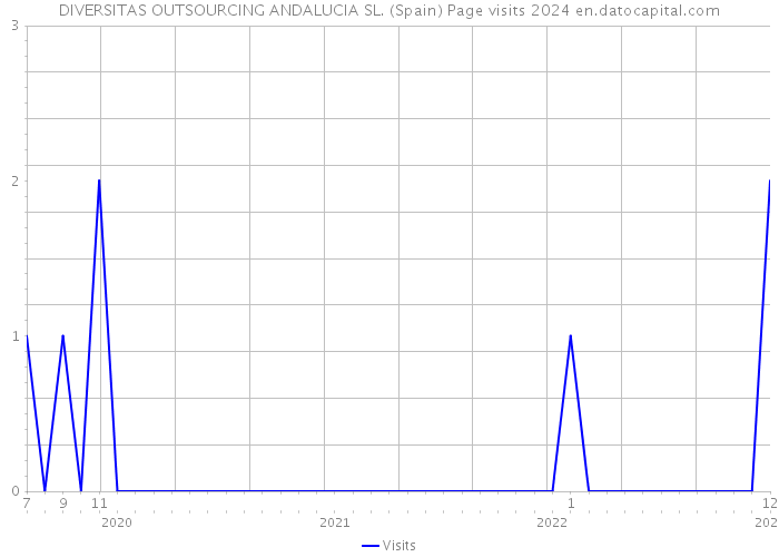 DIVERSITAS OUTSOURCING ANDALUCIA SL. (Spain) Page visits 2024 