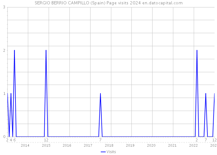 SERGIO BERRIO CAMPILLO (Spain) Page visits 2024 