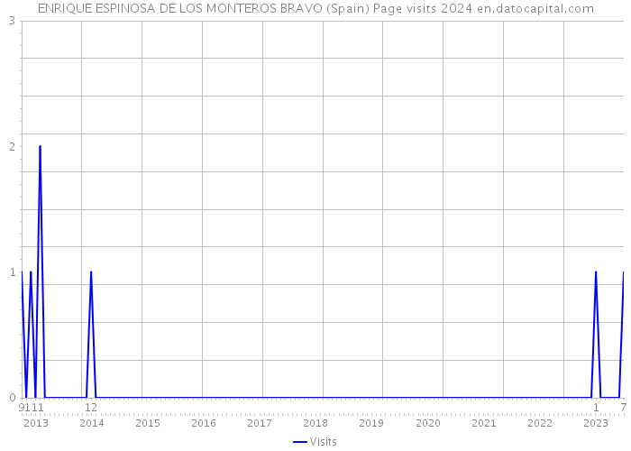ENRIQUE ESPINOSA DE LOS MONTEROS BRAVO (Spain) Page visits 2024 