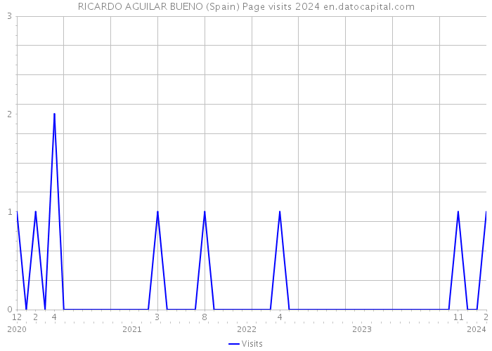 RICARDO AGUILAR BUENO (Spain) Page visits 2024 