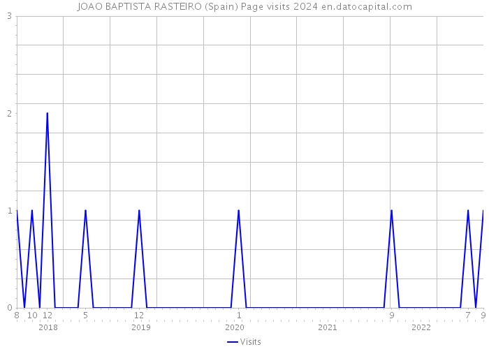 JOAO BAPTISTA RASTEIRO (Spain) Page visits 2024 