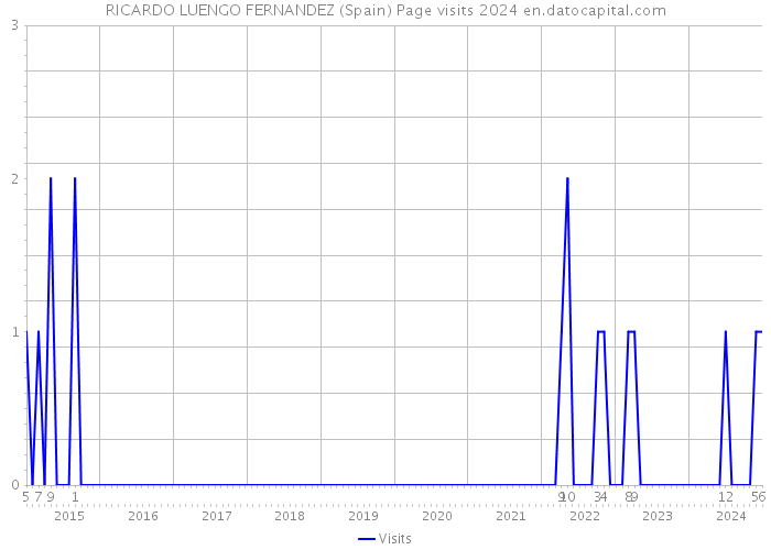 RICARDO LUENGO FERNANDEZ (Spain) Page visits 2024 