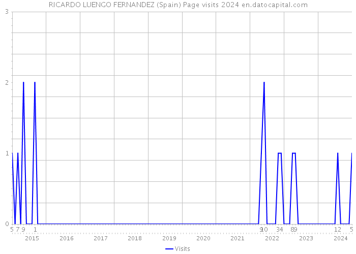 RICARDO LUENGO FERNANDEZ (Spain) Page visits 2024 
