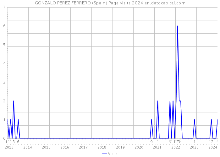GONZALO PEREZ FERRERO (Spain) Page visits 2024 