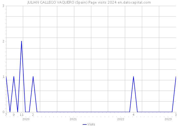 JULIAN GALLEGO VAQUERO (Spain) Page visits 2024 
