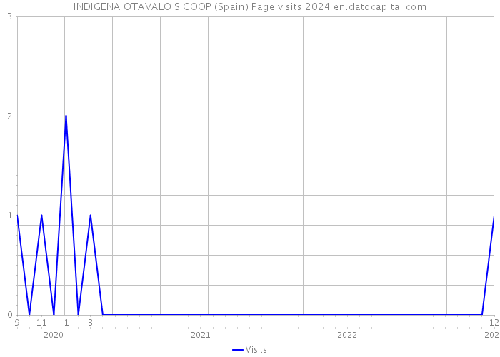 INDIGENA OTAVALO S COOP (Spain) Page visits 2024 