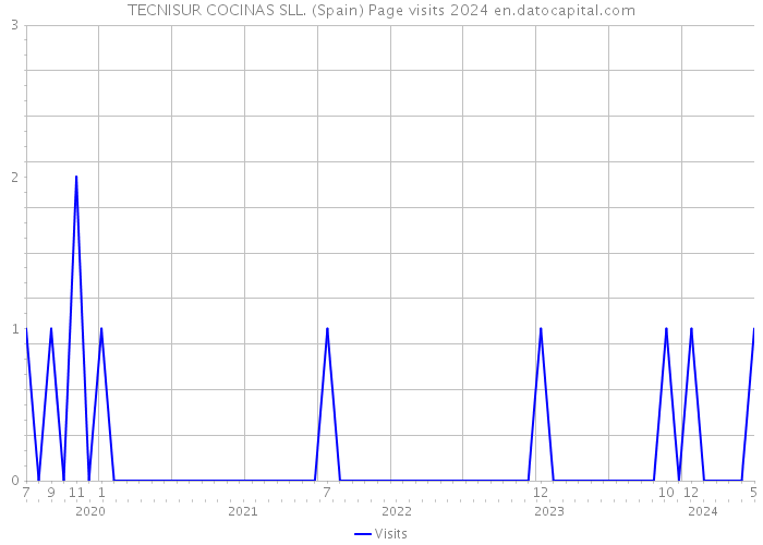 TECNISUR COCINAS SLL. (Spain) Page visits 2024 