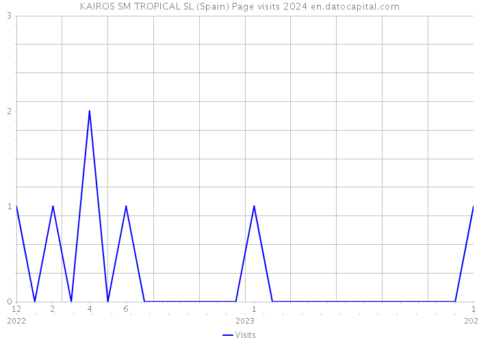 KAIROS SM TROPICAL SL (Spain) Page visits 2024 