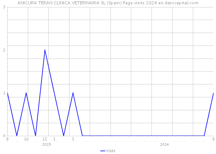 ANICURA TERAN CLINICA VETERINARIA SL (Spain) Page visits 2024 