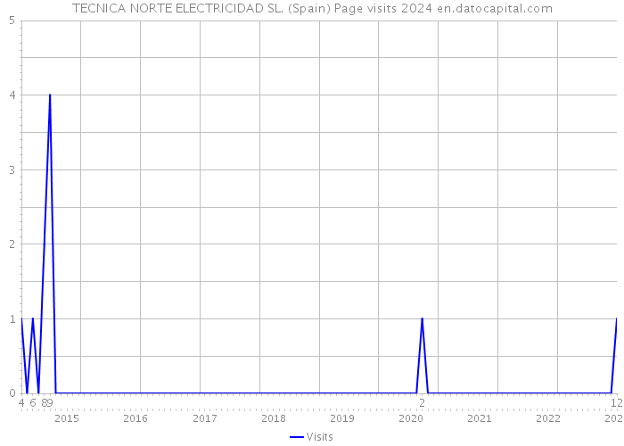 TECNICA NORTE ELECTRICIDAD SL. (Spain) Page visits 2024 