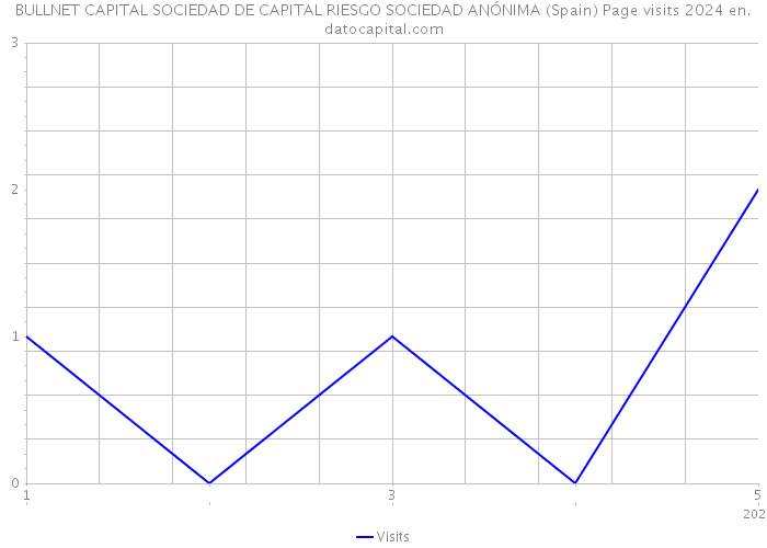 BULLNET CAPITAL SOCIEDAD DE CAPITAL RIESGO SOCIEDAD ANÓNIMA (Spain) Page visits 2024 