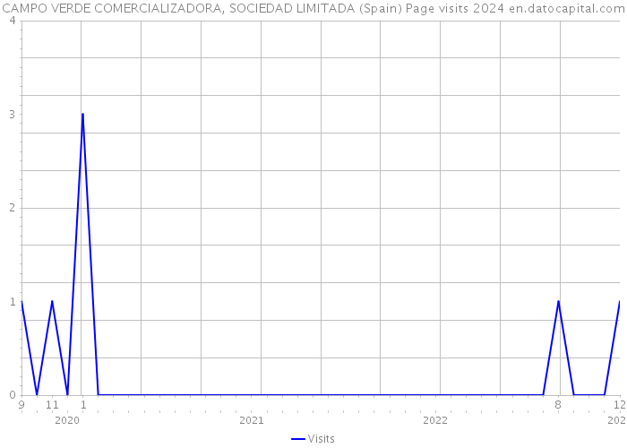 CAMPO VERDE COMERCIALIZADORA, SOCIEDAD LIMITADA (Spain) Page visits 2024 