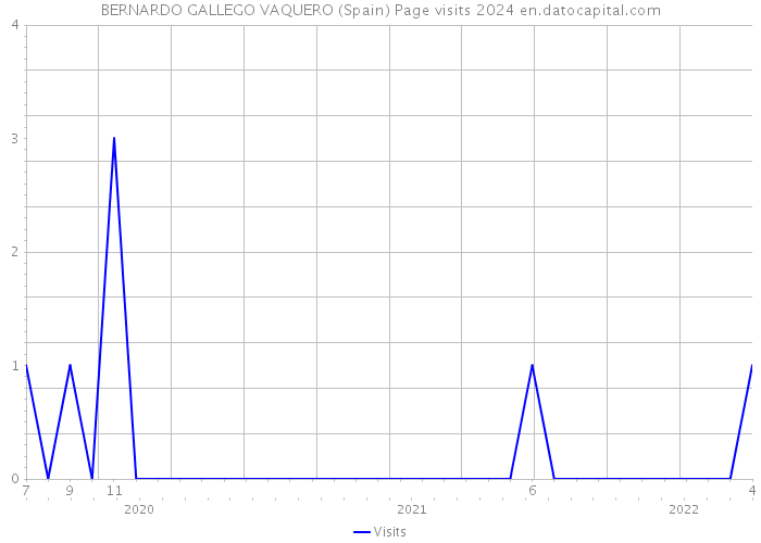 BERNARDO GALLEGO VAQUERO (Spain) Page visits 2024 