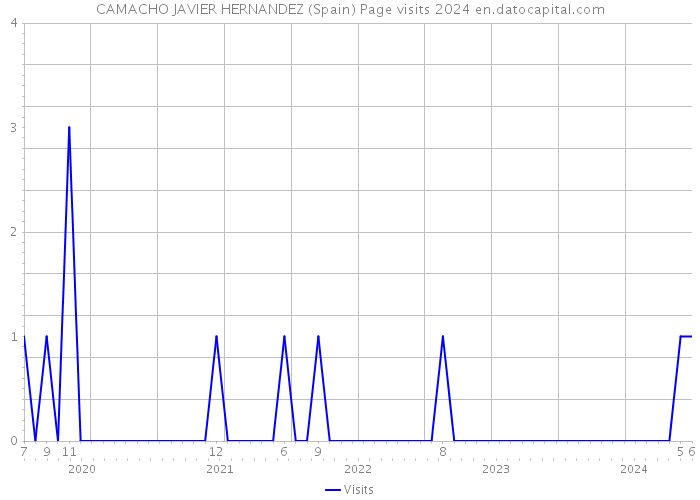 CAMACHO JAVIER HERNANDEZ (Spain) Page visits 2024 