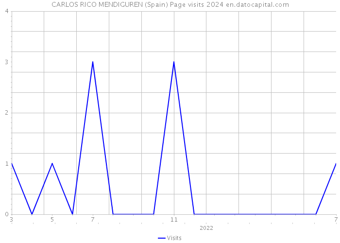 CARLOS RICO MENDIGUREN (Spain) Page visits 2024 