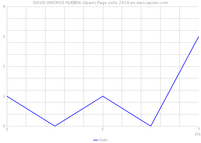 DAVID AMOROS HUEBRA (Spain) Page visits 2024 