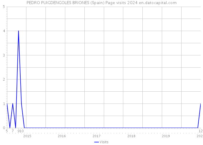 PEDRO PUIGDENGOLES BRIONES (Spain) Page visits 2024 