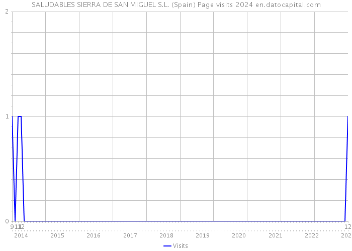 SALUDABLES SIERRA DE SAN MIGUEL S.L. (Spain) Page visits 2024 