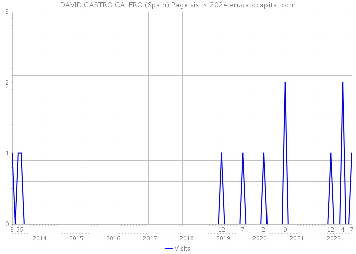 DAVID CASTRO CALERO (Spain) Page visits 2024 