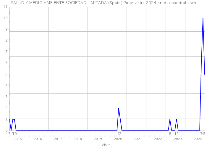 SALUD Y MEDIO AMBIENTE SOCIEDAD LIMITADA (Spain) Page visits 2024 